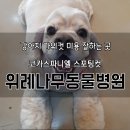 위례나무동물병원 이미지