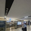 플레이팅 제주공항 국내선점 | 김포공항 제주공항 국내선 식당 플레이팅라운지 우동 솔직 후기, 김포공항 제주공항 맛집