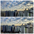 세계로공인중개사사무소 | [신대방동 아파트전문중개 22년 차 세계로공인] 보라매롯데낙천대아파트 매매 특급로얄 30평대 14.2...