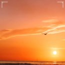 마산탑치과의원 이미지