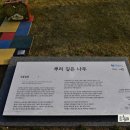 세운전자 이미지