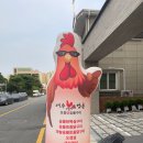 죽림방앗간 | 여수 죽림 닭구이 맛집 &lt;강촌 토종닭 숯불구이&gt; 방문 리뷰