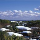 올레관광호텔 이미지