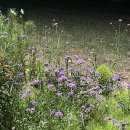 월하공원 | [서울/북촌] 월하보이에서 만난 무애산방 (feat. 월하무애) 🌿💚