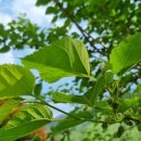 시온산장 이미지