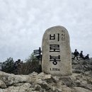 백대 이미지
