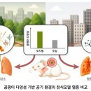 도심숲