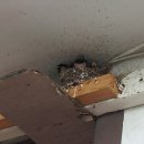 용정사우나 이미지