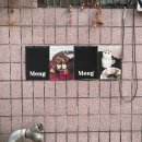 몽몽 MengMeng