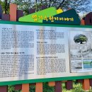 법기수원지 | 양산 가볼 만한 곳 법기 수원지 후기
