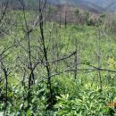 도계2리 이미지