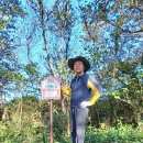 달마고도 이미지