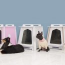 펫앤쇼핑 이미지