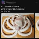 전설의 해산물 세척 3대장 ㄷㄷㄷ.jpg 이미지