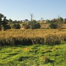 예소프트웨어 이미지