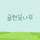 귤현 꿈나무 어린이집 이미지