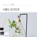 향꽃