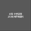 고니네일 이미지