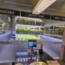 원선농장 | 바로 먹는 쌈밥집! 제육 직화 마곡 룸식당 마곡 고깃집 방문 추천 후기 (마곡 케이스퀘어, 원그로브 맛집)