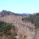 자작나무숲 펜션 2 이미지