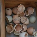 굿마루농장 이미지