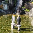 별천지 | 대전 어른들 모시고 가기 좋은 별천지 오리 백숙 후기