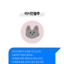 명가통닭 이미지