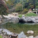 영심이네민박 이미지