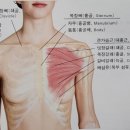아호연필라테스 네이버블로그