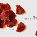 펀치펫 이미지