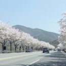 호국로 일부구간 이미지