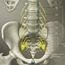 우신향정형외과의원 이미지
