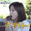 아린투어 이미지