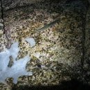 알트민박 이미지