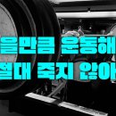 크라운짐 네이버블로그