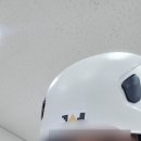 라플라이 이미지