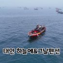 인펜션 | 태안 하늘에&amp;그날펜션 인당 11만 원 무제한 패키지 후기