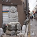 다운세탁 이미지