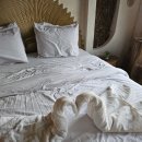 비엔비 | 이집트 여행 카이로숙소 피라미드 뷰 에어비엔비 예약 후기