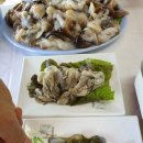 선일회수산 이미지