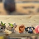 바다노을민박 이미지