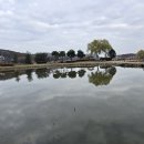 신정호수공원-11 이미지