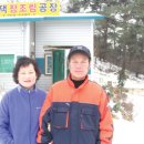 꼬꼬양계농장 이미지