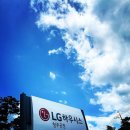 [LG하우시스] 기업 소개 및 인턴 후기
