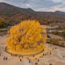 서울척척재활의학과의원 이미지