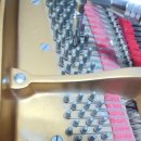 아이러브피아노교습소 이미지