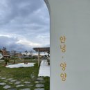 스테이 다로 2 이미지