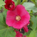 산들부동산중개사무소 이미지