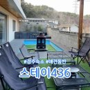 436 | 경주 숙소 스테이436 중형견 대가족1박 후기