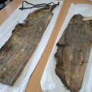 가죽발레 이미지